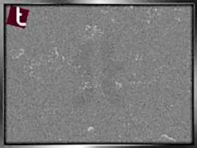 Kaunos-705x705 | Granit Mutfak Tezgahı Ankara