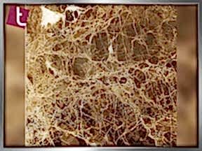 Emperadordark | Granit Tezgah Ankara