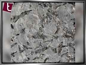 Matrix | Granit Mermer Fiyatlari Ankara