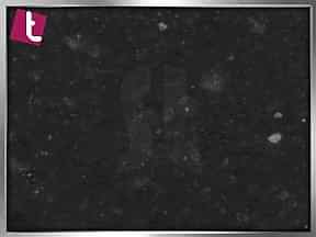 Arden Blue | Ankara Tezgah